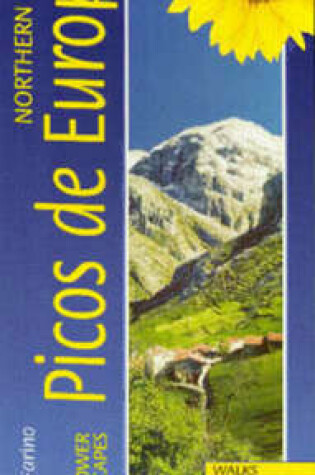 Cover of Landscapes of the Picos de Europa and Northern Spain