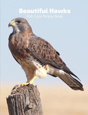 Book cover for Beautiful Hawks Full-Color Picture Book