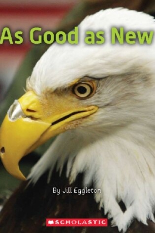 Cover of As Good as New