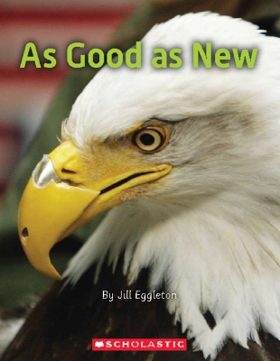 Book cover for As Good as New