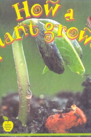 Cover of How a Plant Grows