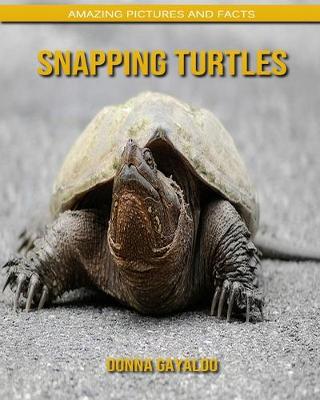 Book cover for Snapping Turtles