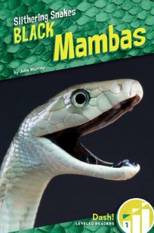 Cover of Black Mambas