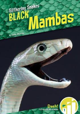 Cover of Black Mambas