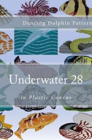 Cover of Underwater 28