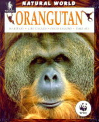 Book cover for Orangutan