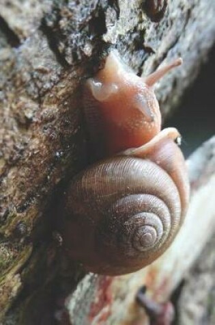 Cover of Snail on Tree Pretty Blank Lined Journal for daily thoughts notebook Lovely Lake Arrowhead Photograph