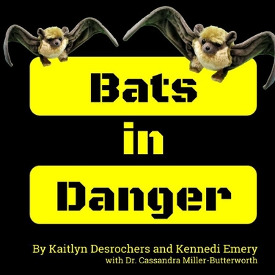 Book cover for Bats in Danger