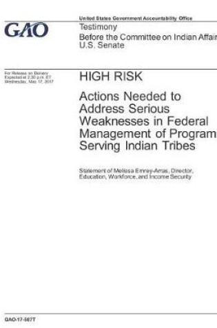 Cover of High Risk