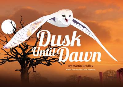 Book cover for Dusk Until Dawn