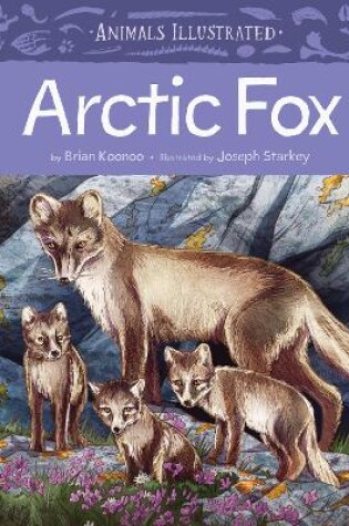 Cover of Animals Illustrated: Arctic Fox