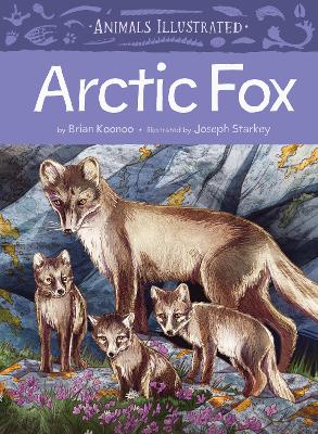Book cover for Animals Illustrated: Arctic Fox