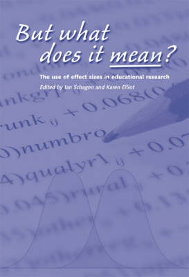 Book cover for But What Does it Mean?