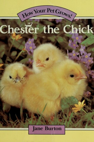 Cover of Chester the Chick