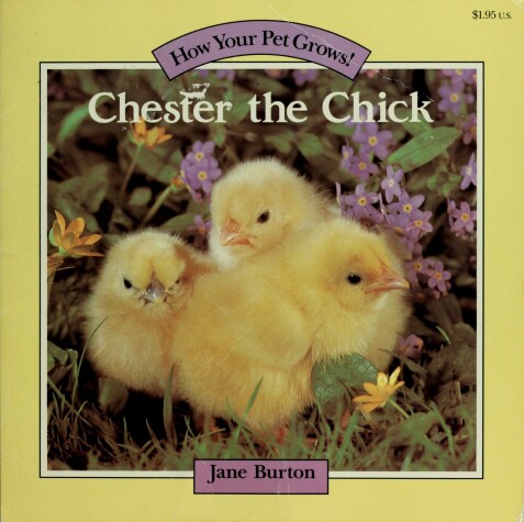 Book cover for Chester the Chick