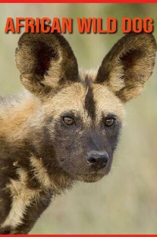 Cover of African wild dog