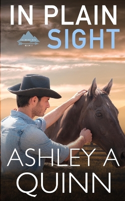 Book cover for In Plain Sight