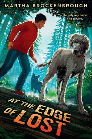 Cover of At the Edge of Lost