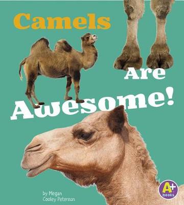 Cover of Camels Are Awesome!