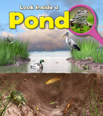Book cover for Pond