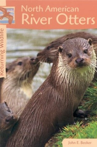 Cover of North American River Otters