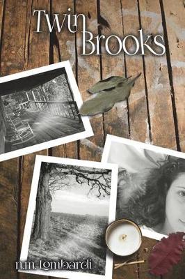 Book cover for Twin Brooks