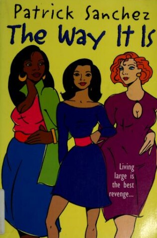Cover of The Way It Is