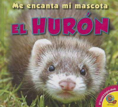 Book cover for El Huron