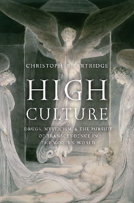 Book cover for High Culture