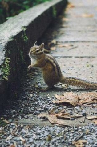 Cover of Cute Squirrel in the Park