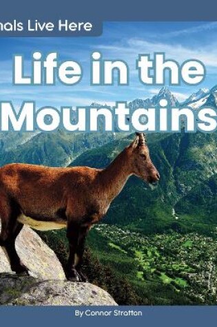 Cover of Animals Live Here: Life in the Mountains