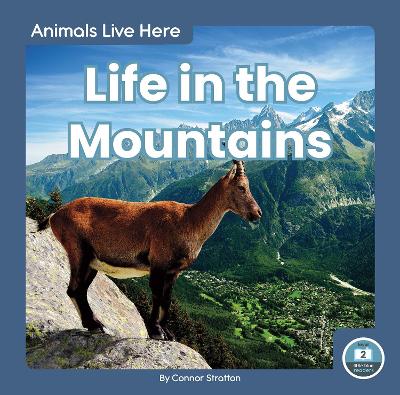 Book cover for Animals Live Here: Life in the Mountains