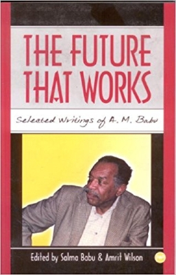 Book cover for The Future That Works