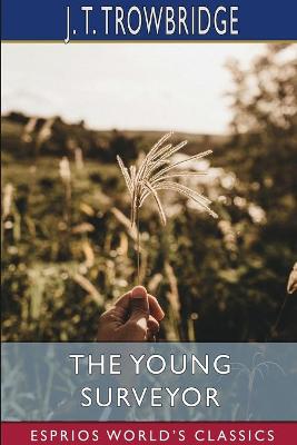 Book cover for The Young Surveyor (Esprios Classics)