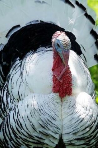Cover of Black and White Royal Palm Tom Turkey Journal