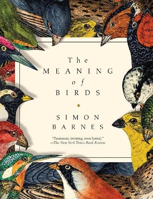 Book cover for The Meaning of Birds