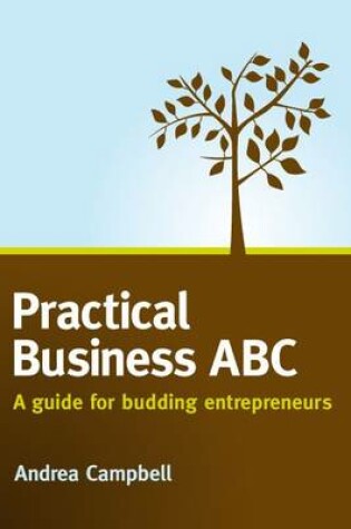 Cover of Practical Business ABC