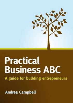 Book cover for Practical Business ABC