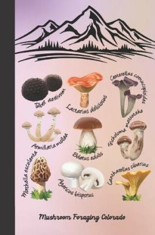 Cover of Wild Mushroom Hunting Foraging Colorado