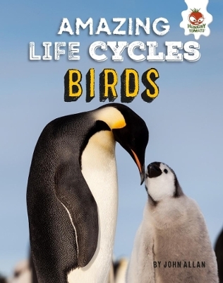 Book cover for Amazing Life Cycles-Birds