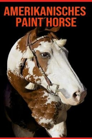 Cover of Amerikanisches Paint Horse