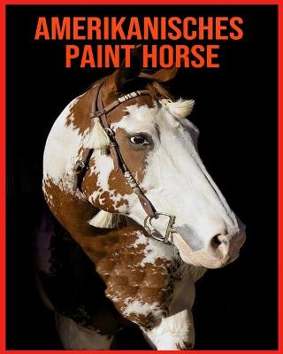 Book cover for Amerikanisches Paint Horse