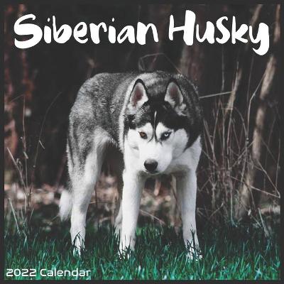 Book cover for Siberian Husky Calendar 2022