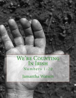 Book cover for We're Counting In Irish