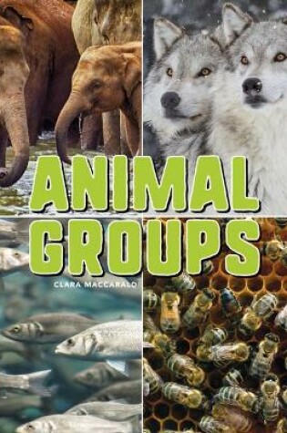 Cover of Animal Groups