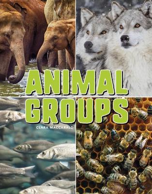 Book cover for Animal Groups