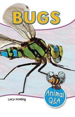 Cover of Bugs