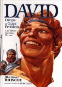 Book cover for David Drops a Giant Problem