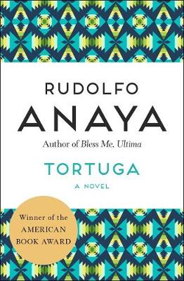 Book cover for Tortuga