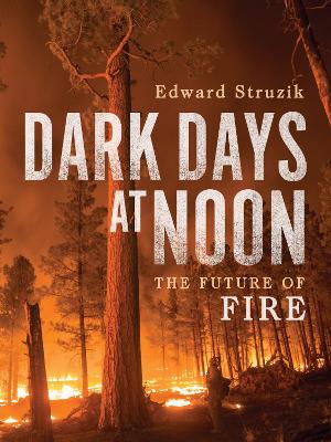 Book cover for Dark Days at Noon